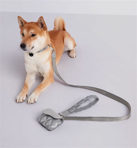 pet dior|dior dog accessories for men.